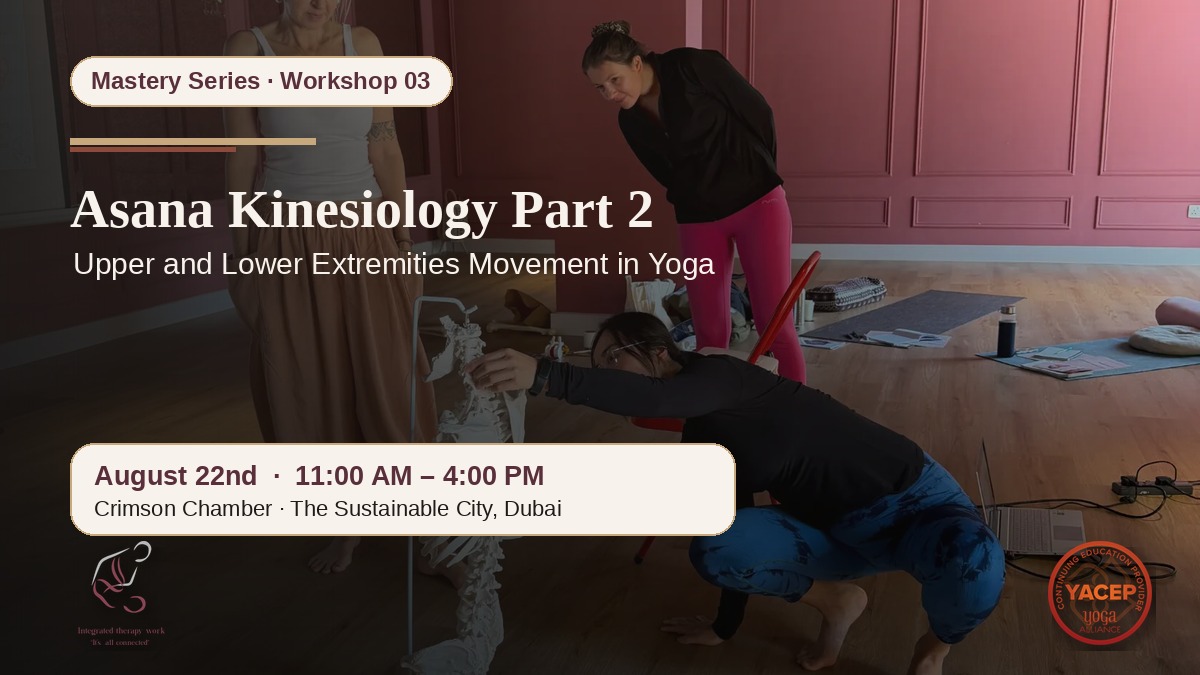 Kinesiology ( The Extremities In Yoga) August 22nd