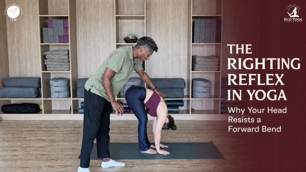 Dubai Yoga teacher training